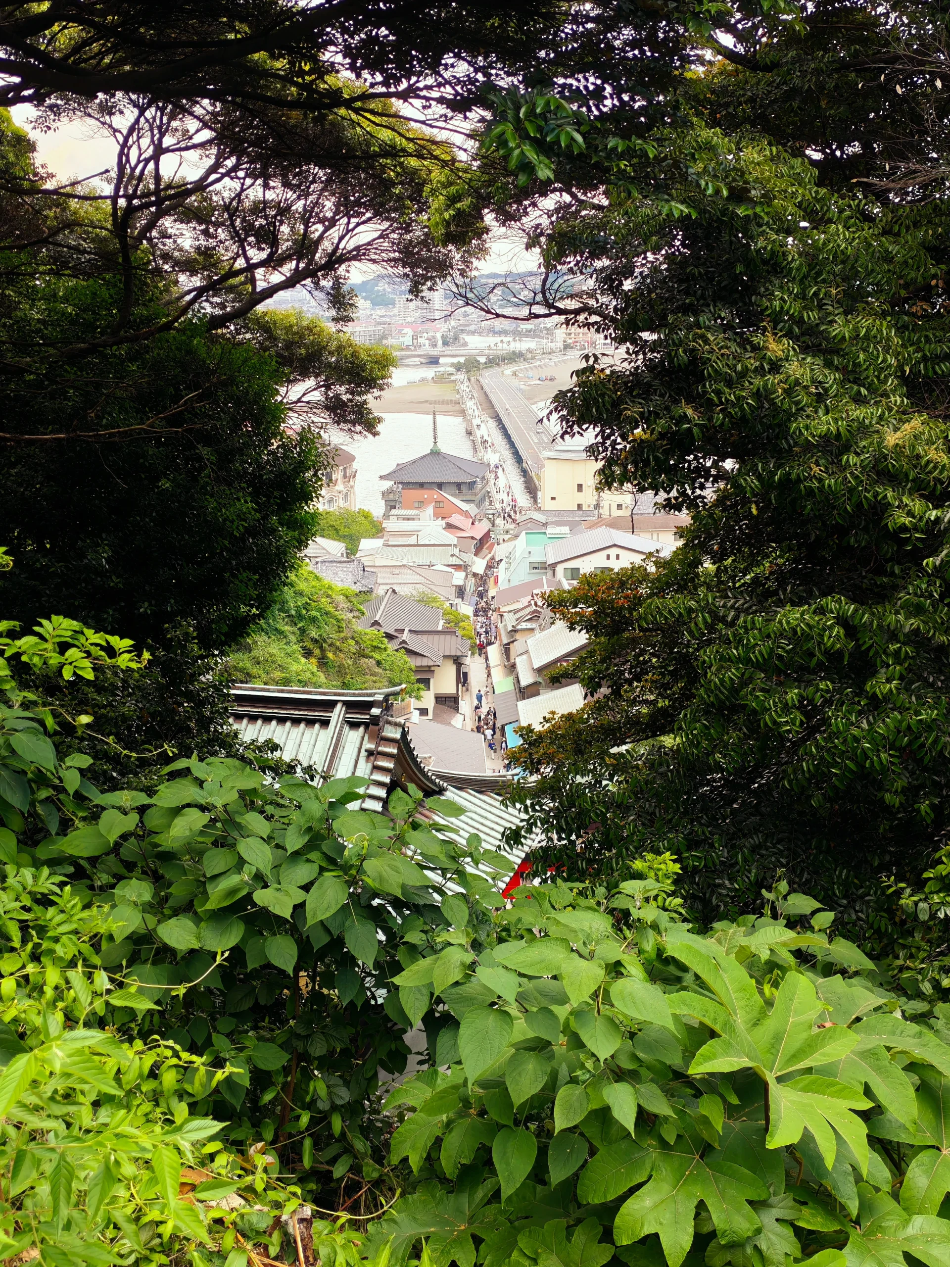 图片[30]-一次潦草的日本之旅