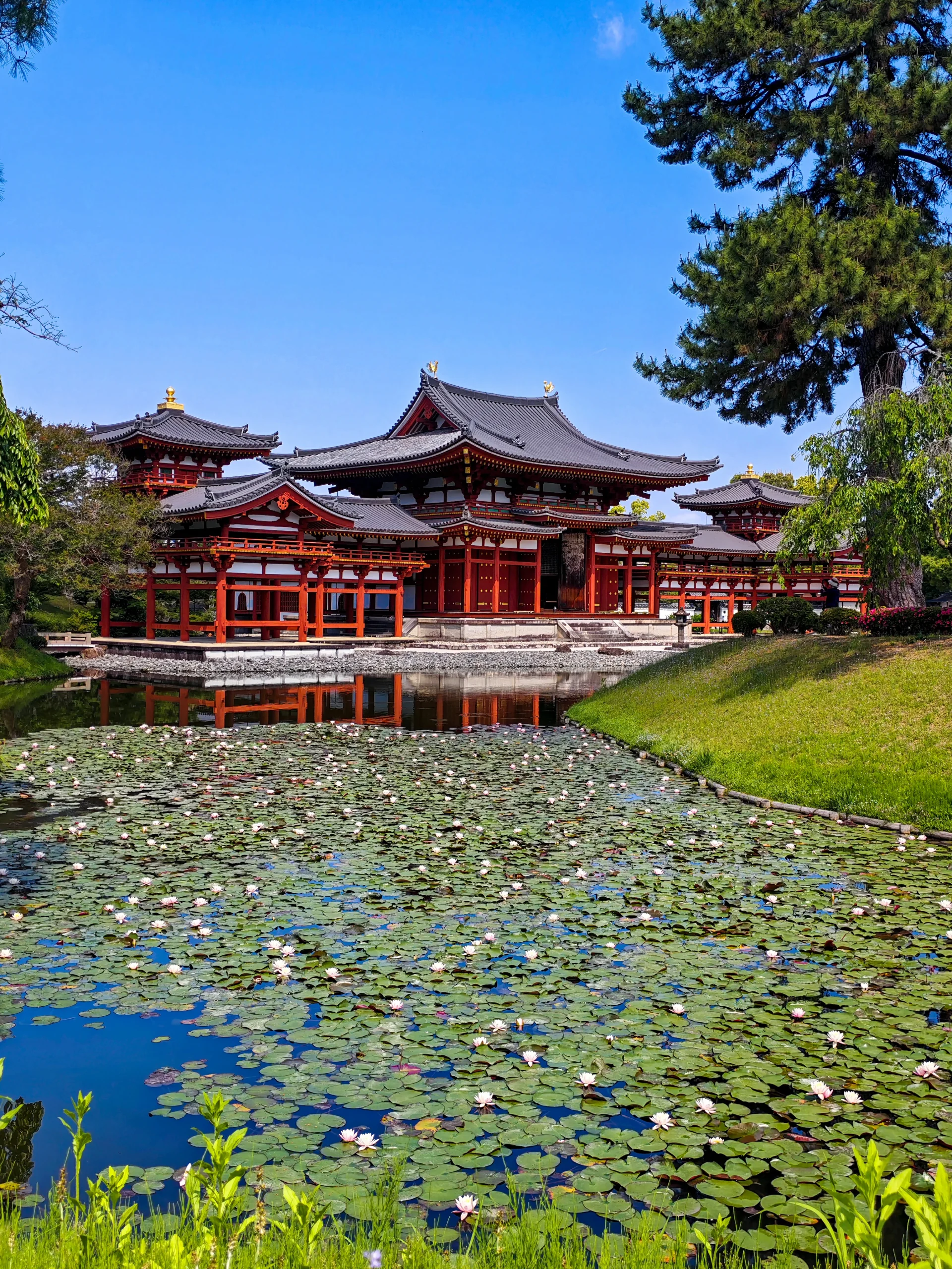 图片[24]-一次潦草的日本之旅